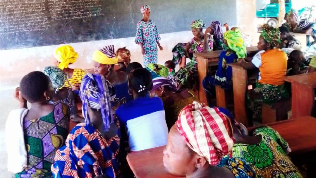 Commune de Toviklin : trois groupements de femmes entretenus par Virginie YAKPE à Missinko Commune de Toviklin : trois groupements de femmes entretenus par Virginie YAKPE à Missinko